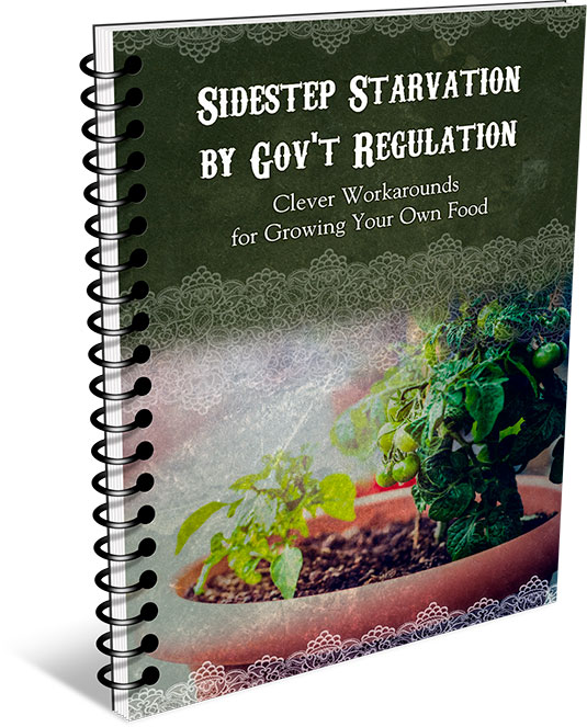 How to Sidestep Starvation by Gov't Regulation